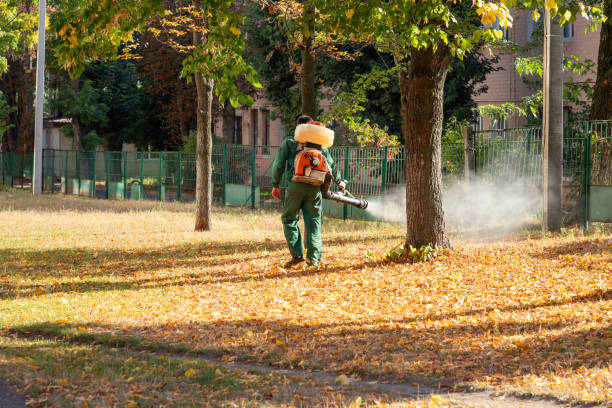 Best Bird Control  in Asheboro, NC